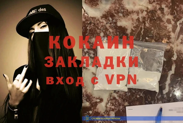 шишки Балахна