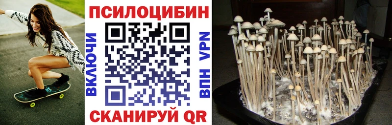 Псилоцибиновые грибы MAGIC MUSHROOMS  цены наркотик  Тимашёвск 